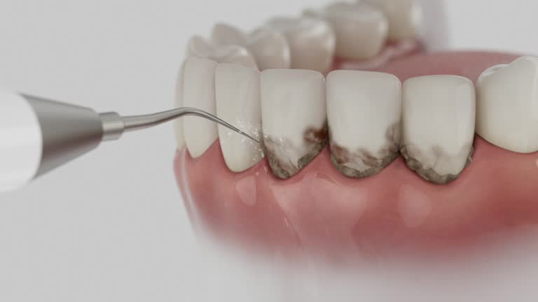 Reliable Dental contractor in Park Center, CO by Dentist Open Now